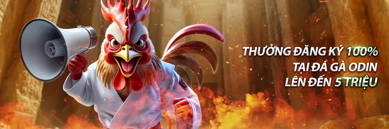 Đá gà trực tuyến 77win88 với các trận đấu kịch tính