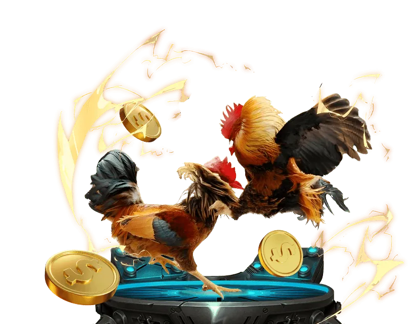 Bảng tỷ lệ kèo cược đá gà phổ biến tại 77win88